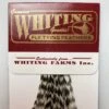 Whiting 100 Pack Dry Fly Hackle - Grizzly - 10 -Fishing Equipment Store Grizzly 4e53750d 426c 4dc8 90de ff05fe59646c