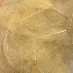 TroutHunter Premium Bulk CDC -Fishing Equipment Store IMG 5014