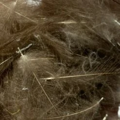 TroutHunter Premium Bulk CDC -Fishing Equipment Store IMG 5016