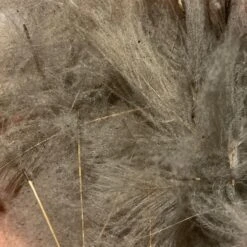 TroutHunter Premium Bulk CDC -Fishing Equipment Store IMG 5018