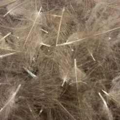 Swiss CDC Super Select Grade -Fishing Equipment Store IMG 6403