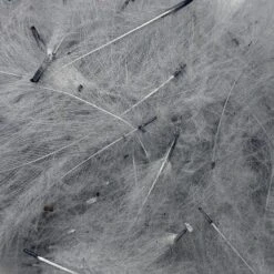 Swiss CDC Super Select Grade -Fishing Equipment Store IMG 6409