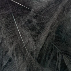 Swiss CDC Super Select Grade -Fishing Equipment Store IMG 6434