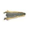 Wapsi Whole Squirrel Skin -Fishing Equipment Store SS12 2
