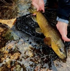 Hex Fly "Steel-Head" Reach Net -Fishing Equipment Store reach3