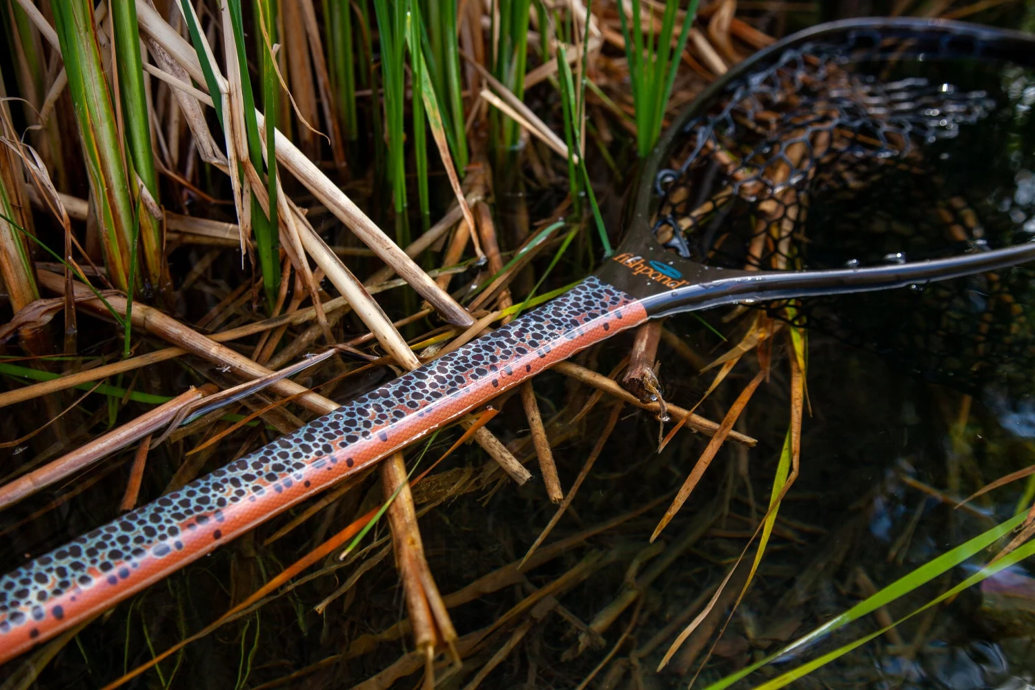 Fishpond Nomad Mid-Length Net - Slab - Limited Edition 5 Fishpond Nomad Mid-Length Net - Slab - Limited Edition - Image 3